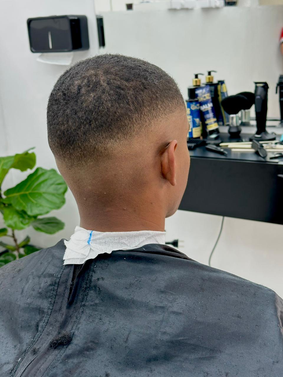 Corte 10