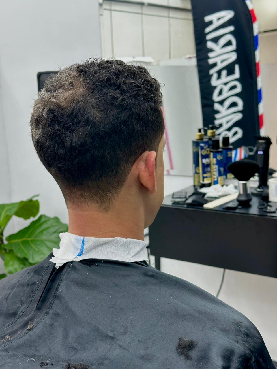 Corte 8